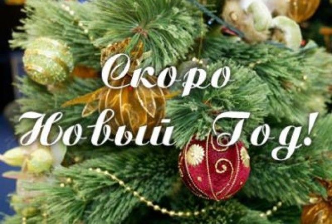Новый Год 2 Недели