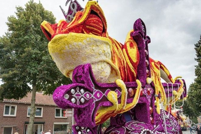 10 гигантских цветочных скульптур из георгинов в Нидерландах