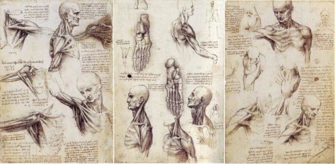 20 любопытных фактов о Леонардо да Винчи