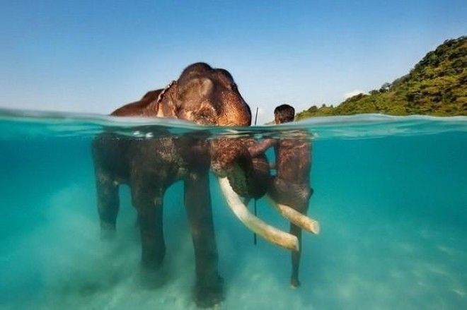  На грани двух миров вода, мир, рыбы