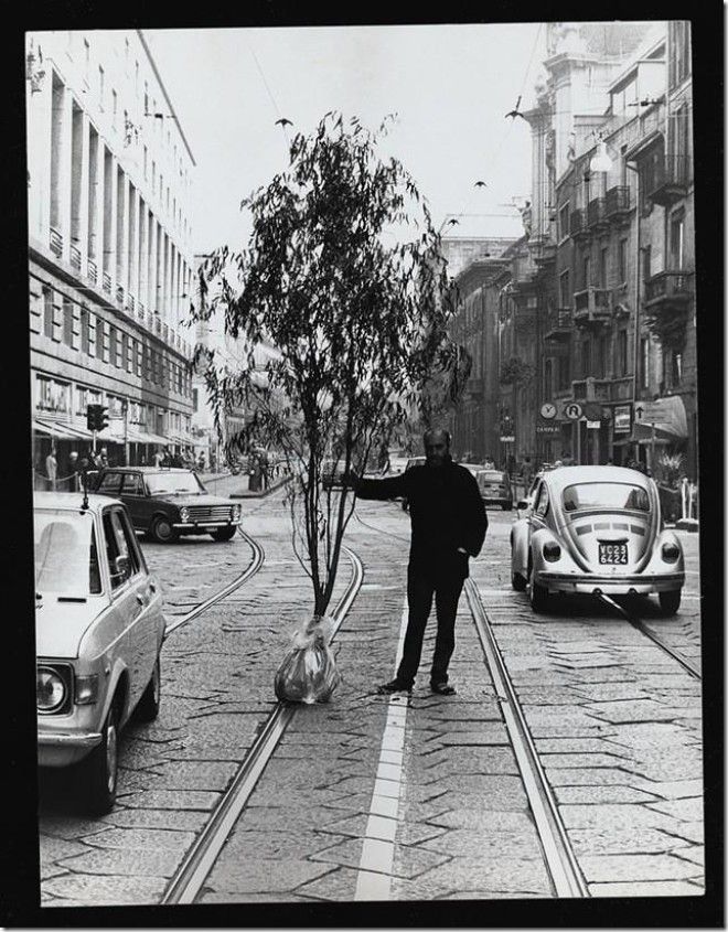 1973_milano_tree_big