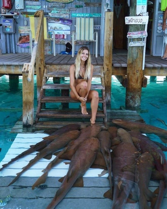Студентка, которая путешествует по миру, чтобы сфотографироваться с невероятными морскими существами