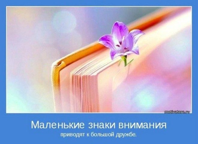 Высказывания мудрых