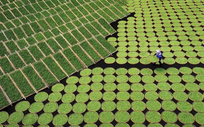 Международный конкурс Sony World Photography Awards 2017