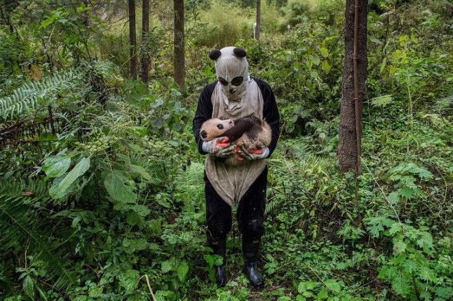 Международный конкурс Sony World Photography Awards 2017