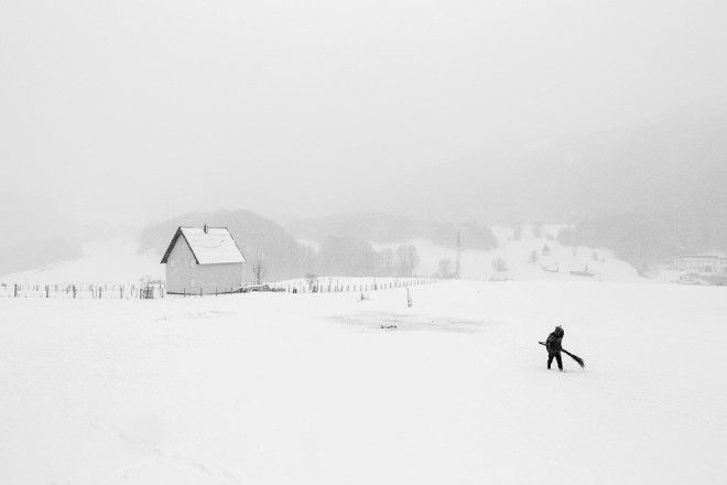 Международный конкурс Sony World Photography Awards 2017