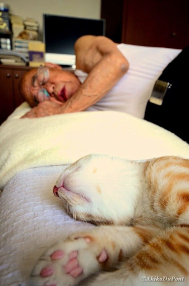 Джиджи и Кинако: как рыжий кот спас старика японца от депрессии