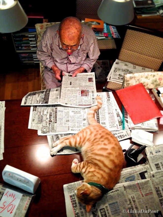 Джиджи и Кинако: как рыжий кот спас старика японца от депрессии