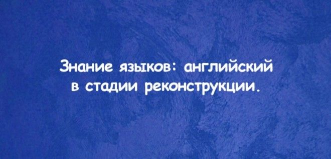 Лучшие выписки из резюме от самых честных работников