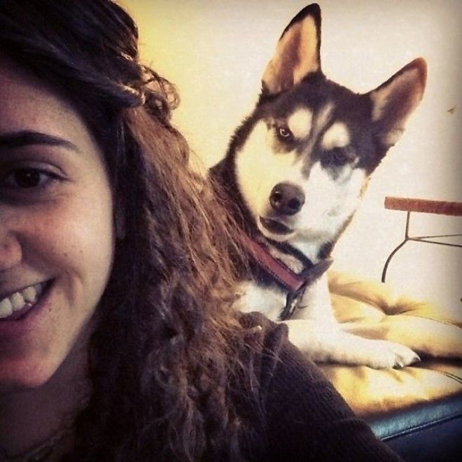 Funny Dog Photobombs