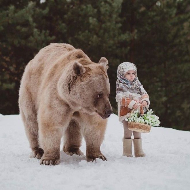 Фотографии Ольги Багранцевой