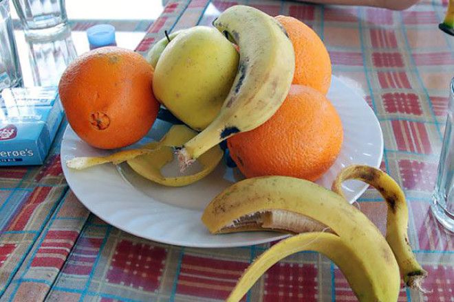 So My Friend Ordered A Fruit Salad In A Restaurant In Marrakesh