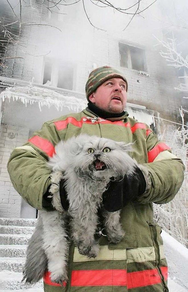20 фотографий смелых пожарных, спасающих животных из огня (21 фото)