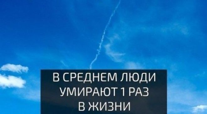 Прикольные картинки для всех 47 шт