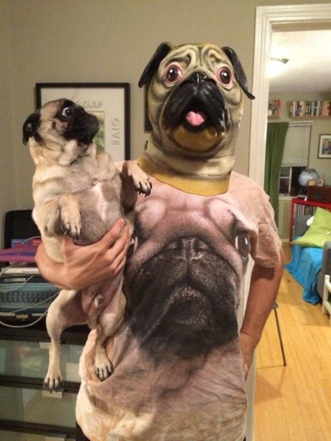 Pugs On Pugs On Pugs