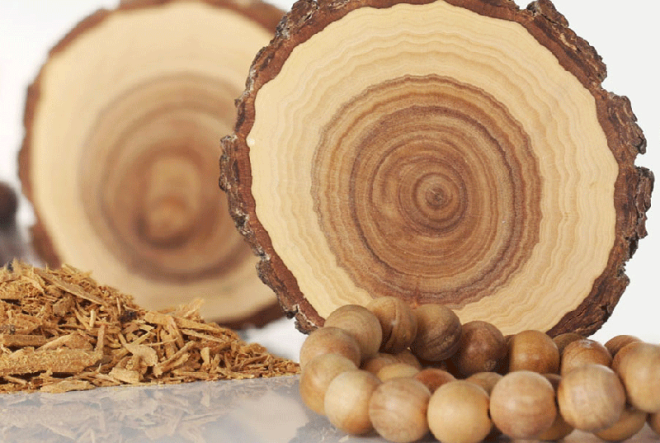Сандал – 20 000 долларов за килограмм дерево, факты, фото