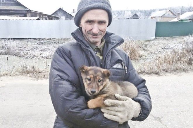 Щенка из подземного плена спасали всем городом добро, люди, поступки