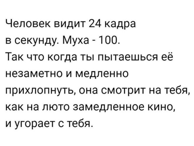 30 Искрометных Скриншотов Которые Поднимут Настроение