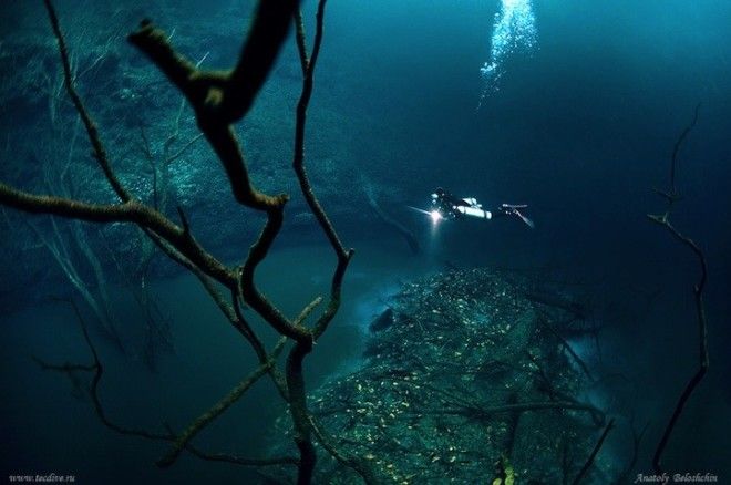 Скрытая от глаз подводная река протекающая вдоль океанского дна в Мексике
