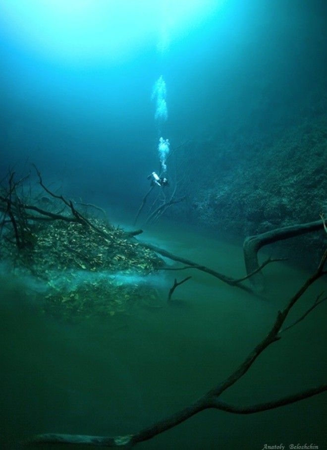 Скрытая от глаз подводная река протекающая вдоль океанского дна в Мексике