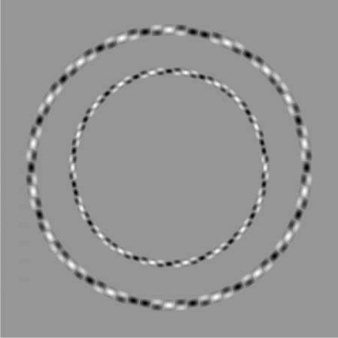 10 оптических иллюзий которые заставят вас усомниться в зрении
