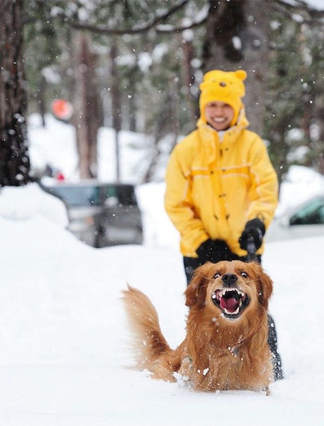 First Time Seeing Snow. I Think He Liked It