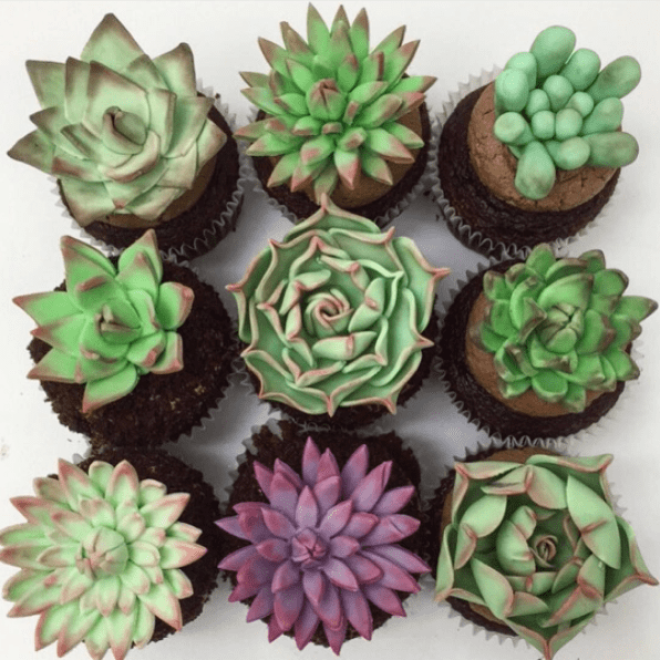 Succulents belong in ceramic pots, not cupcake liners.