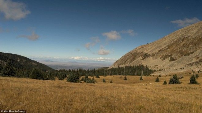 Неизвестный купил огромное ранчо в Колорадо за 105 миллионов