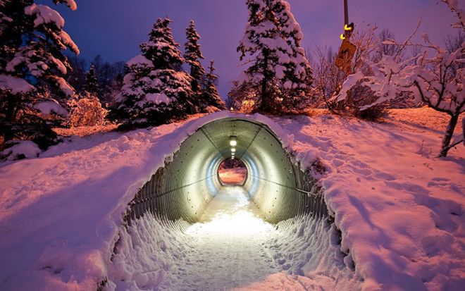 21. Туннель для животных под хайвеем, Финляндия мосты, охрана животных, охрана природы, спасение животных
