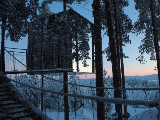 Фото Отель Treehotel