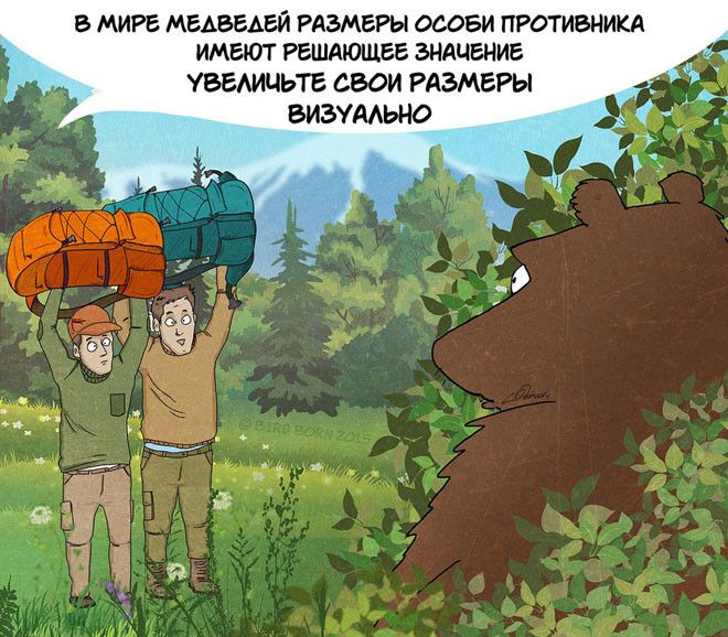 10 забавных, но правдивых комиксов, о правилах поведения с медведями