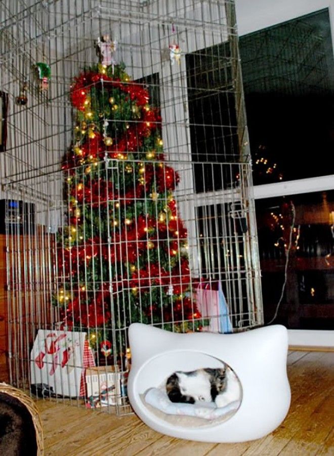 Защита новогодних ёлок от домашних животных