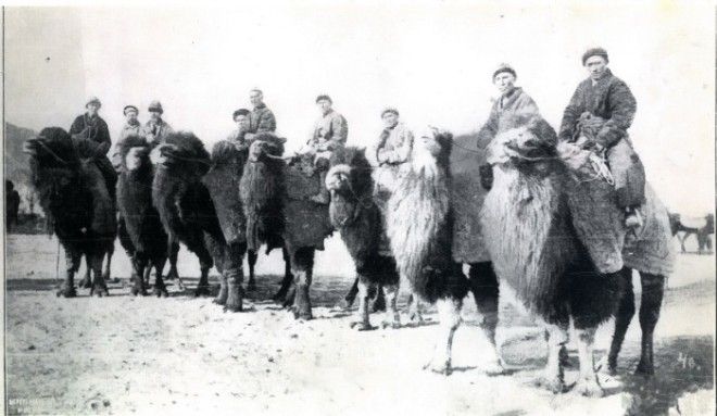 Всадники на верблюдах Туркестан Пишпек 1910 год