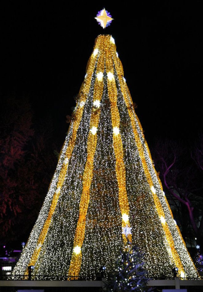 Главные новогодние елки мира. Самые красивые рождественские елки, фото 9