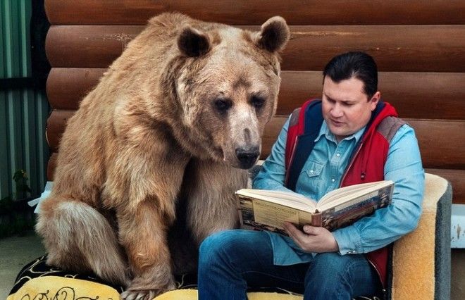 Самоирония – вполне здоровая жизненная позиция.