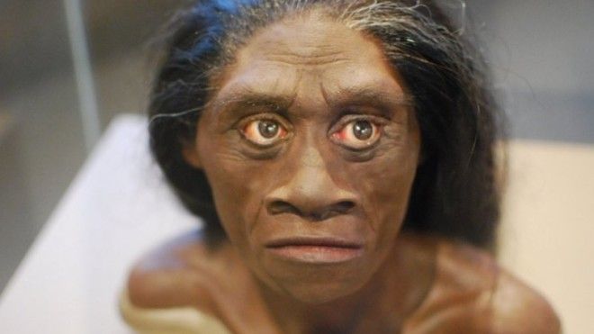 Почти два миллиона лет, вплоть до VIII тысячелетия до н. э. на Земле жили сразу несколько видов людей. Но в итоге Homo Sapiens просто истребил всех остальных древние люди, история, факты, человечество
