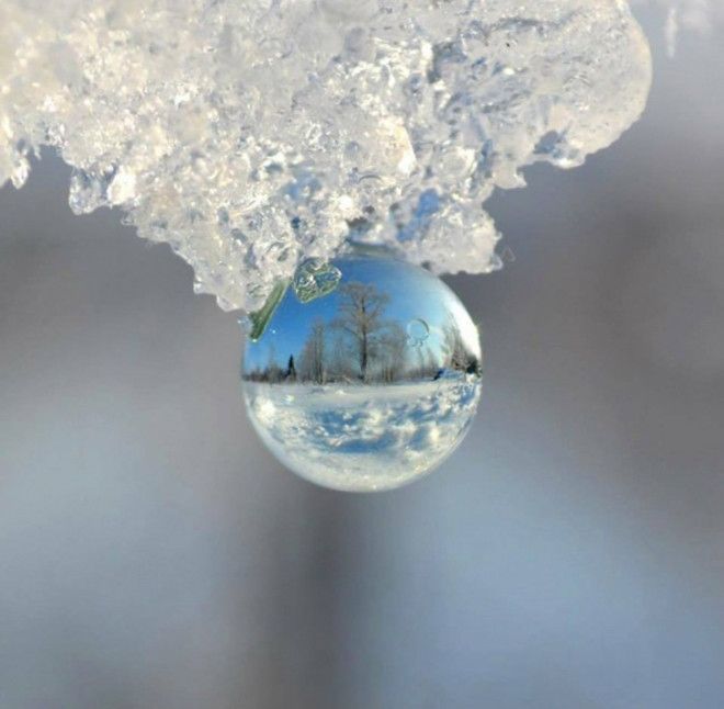 30 фото про те, що зима творить дива крутіші за фотошоп - фото 17