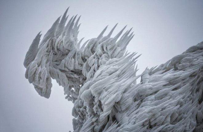 30 фото про те, що зима творить дива крутіші за фотошоп - фото 9