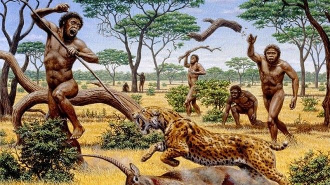 Все остальные виды рода Homo на протяжении двух миллионов лет были отнюдь не на вершине пищевой цепи, а скорее где-то в середине. Охотиться они могли только на мелких животных, избегая встреч с крупными хищниками древние люди, история, факты, человечество
