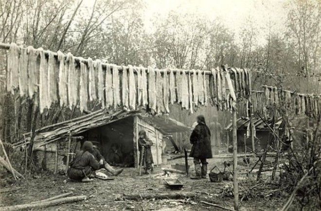 Заготовка юколы (вяленой рыбы) в Якутии, 1912 год россия, рыбаки, фото