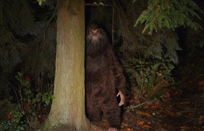 Йети не одобряет такие ролики... bigfoot, видео, жуть, йети, находка, снежный человек, уникальный образец