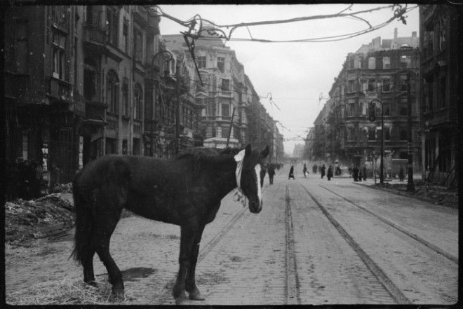 Одна из улиц Берлина разрушенная во время бомбардировки города союзниками. Германия, Апрель, 1945 год. 