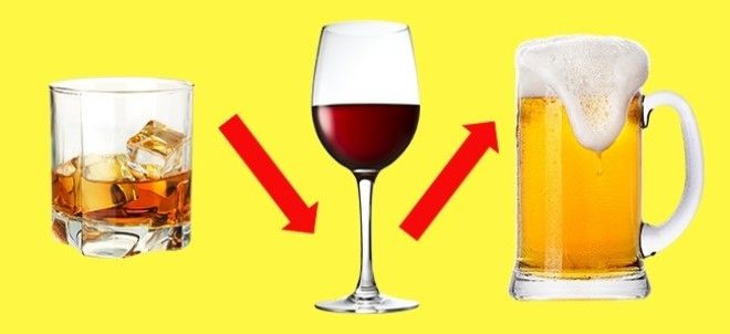 10 мифов об алкоголе в которые мы верили всю жизнь 