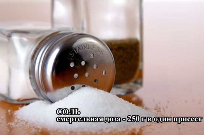 Сколько нужно выпить водки и съесть соли, чтобы склеить ласты