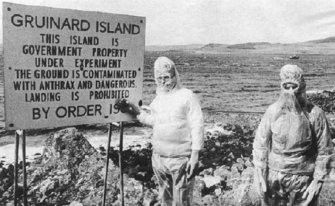 Остров Грюнард где проводили испытания биологического оружия считается одним из опасных мест на планетеФото fimgsvietnamnetvn