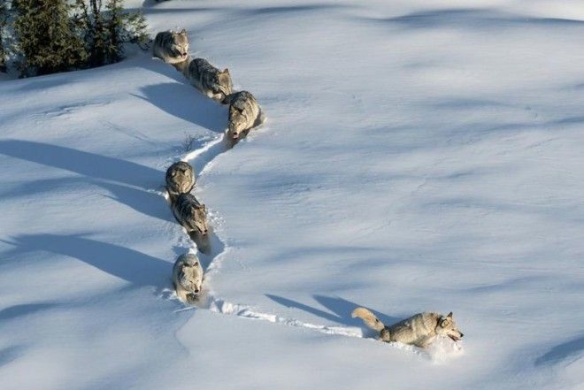 7 признаков что у вас сильное биополе