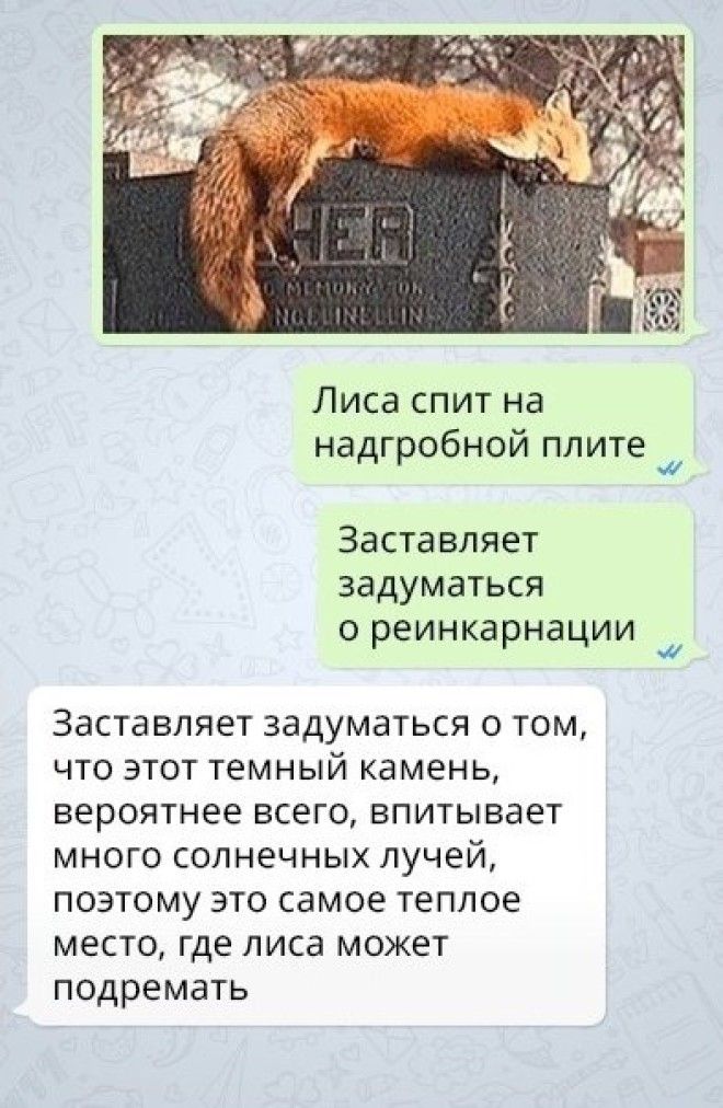 16 СМС которые доказывают что женская логика сложная наука