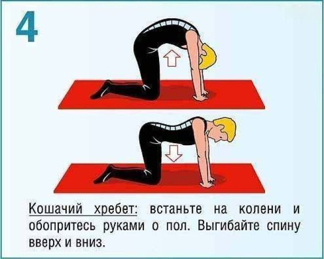 упражнения для спины