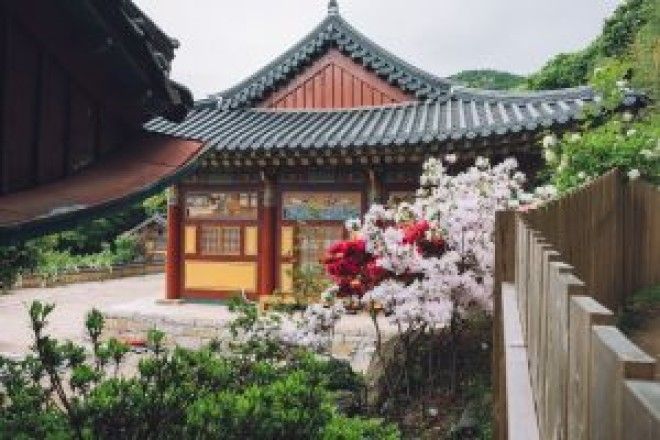 Путешествие в Корею Пусан и Чеджу