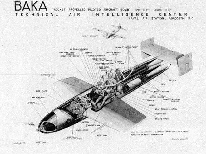 Drawing of a Japanese Yokosuka MXY7 Ohka rocket powered human-guided anti-shipping kamikaze attack plane